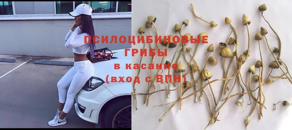 ГАЛЛЮЦИНОГЕННЫЕ ГРИБЫ Балабаново