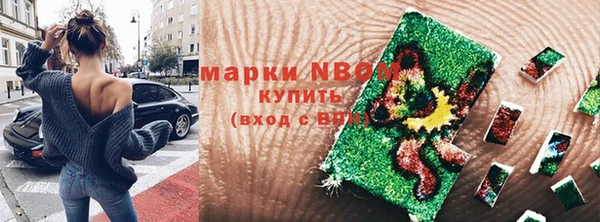мет Няндома