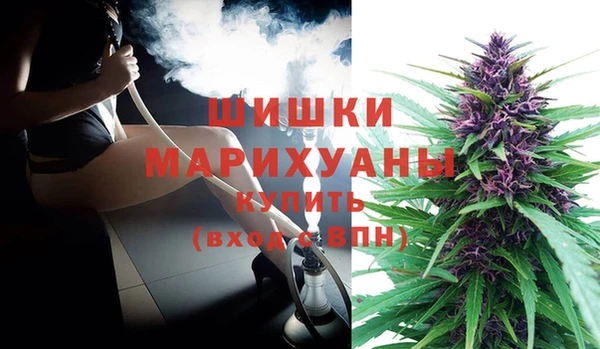 мет Няндома