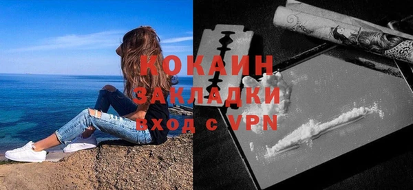 мет Няндома