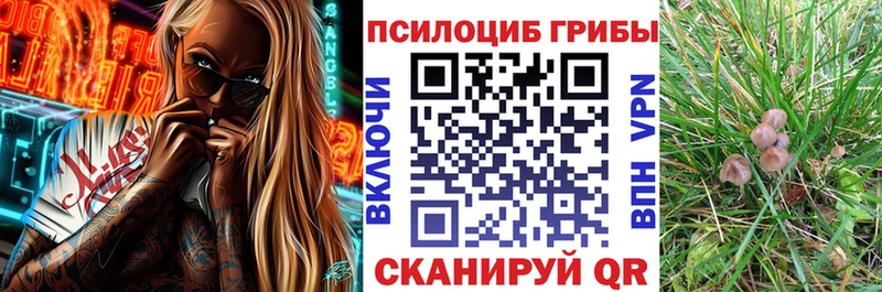 купить наркотики цена  Костерёво  Псилоцибиновые грибы Psilocybe 